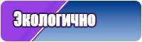 Футболка с мишкой